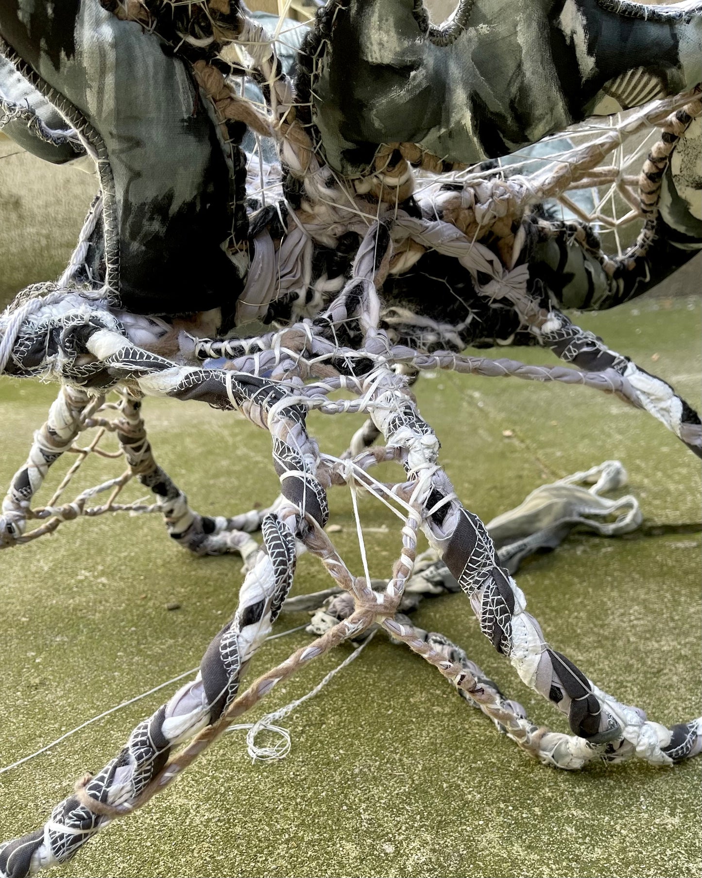 web wings