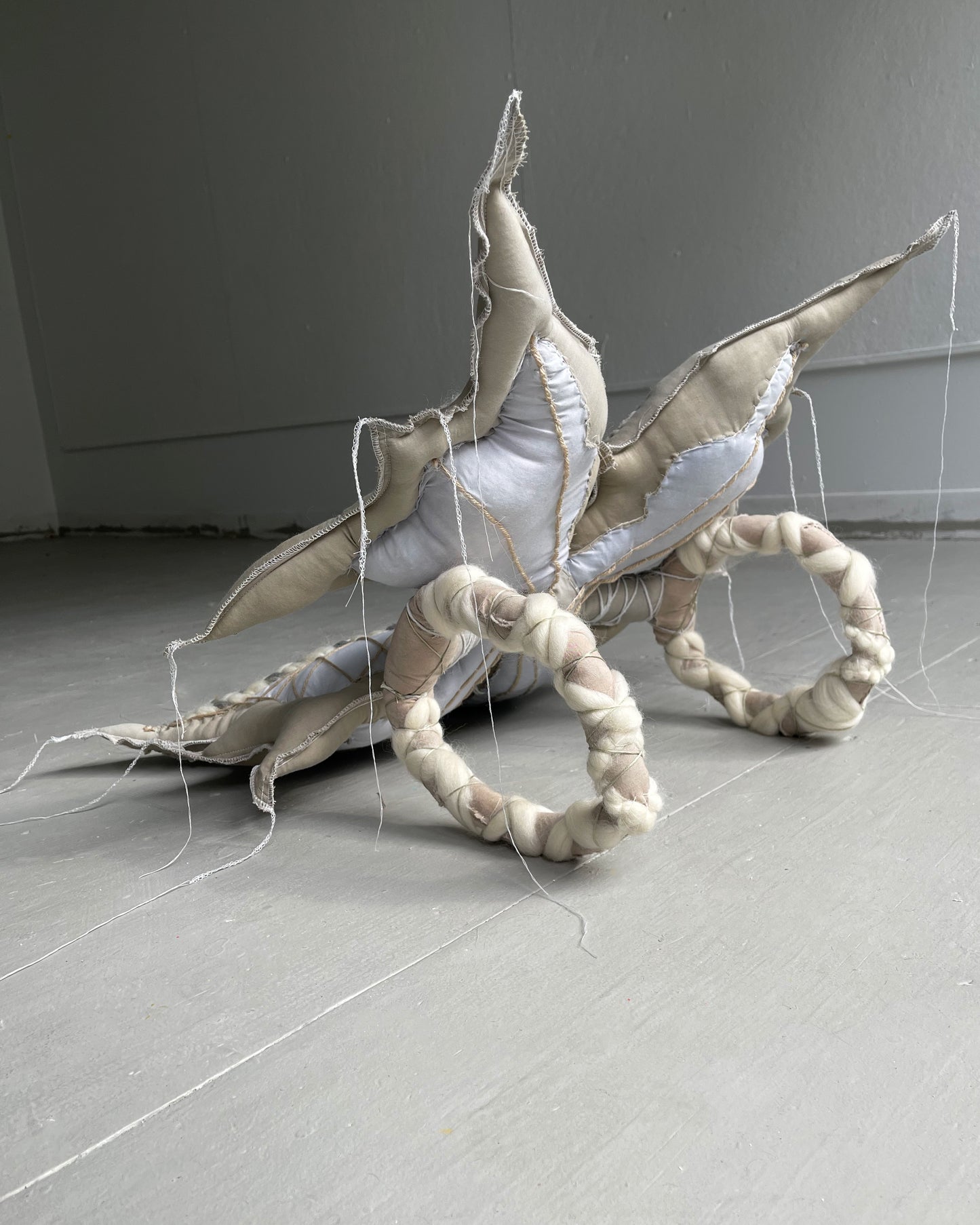 soft wings